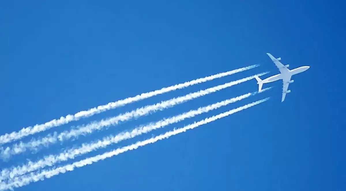 Un pilot este investigat pentru un desen 