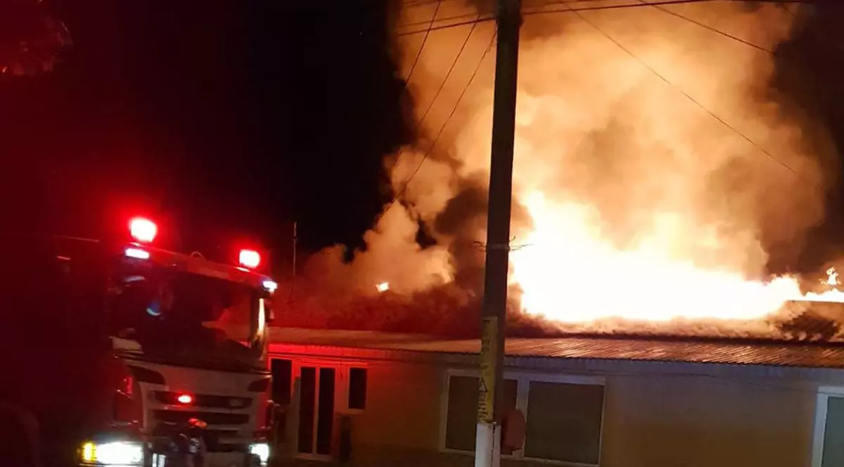 Băiatul și mama lui, pe care a salvat-o din incendiu