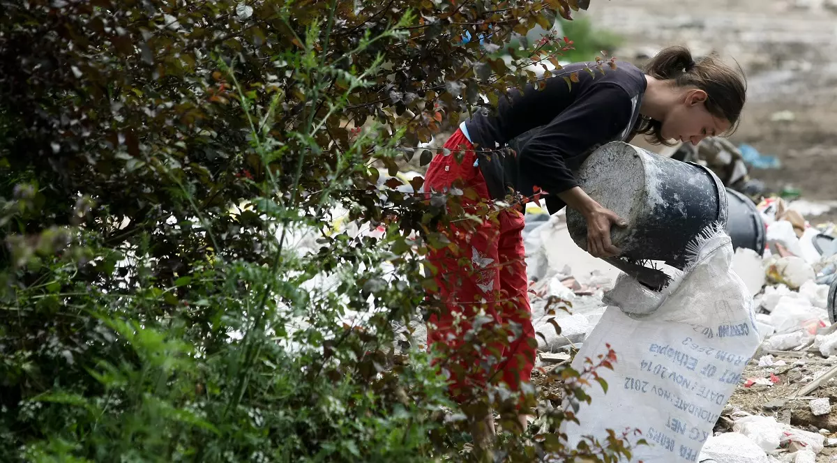 Un român aruncă 129 de kilograme de alimente anual