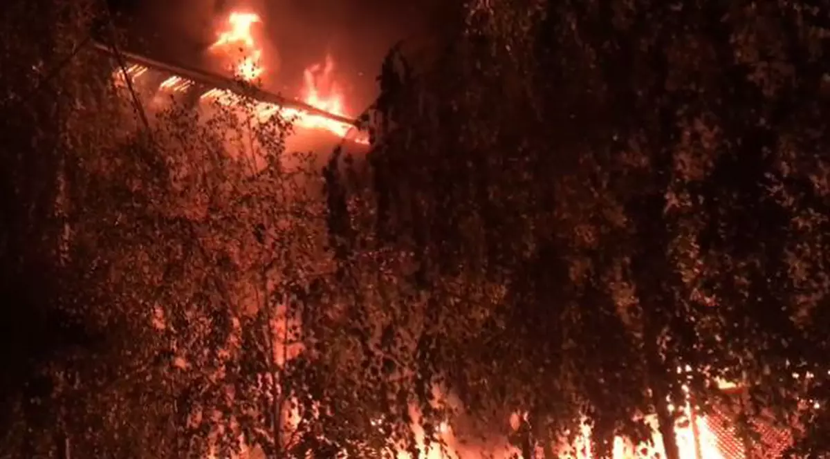 Incendiu de proporții în Complexul Studențesc din Timișoara