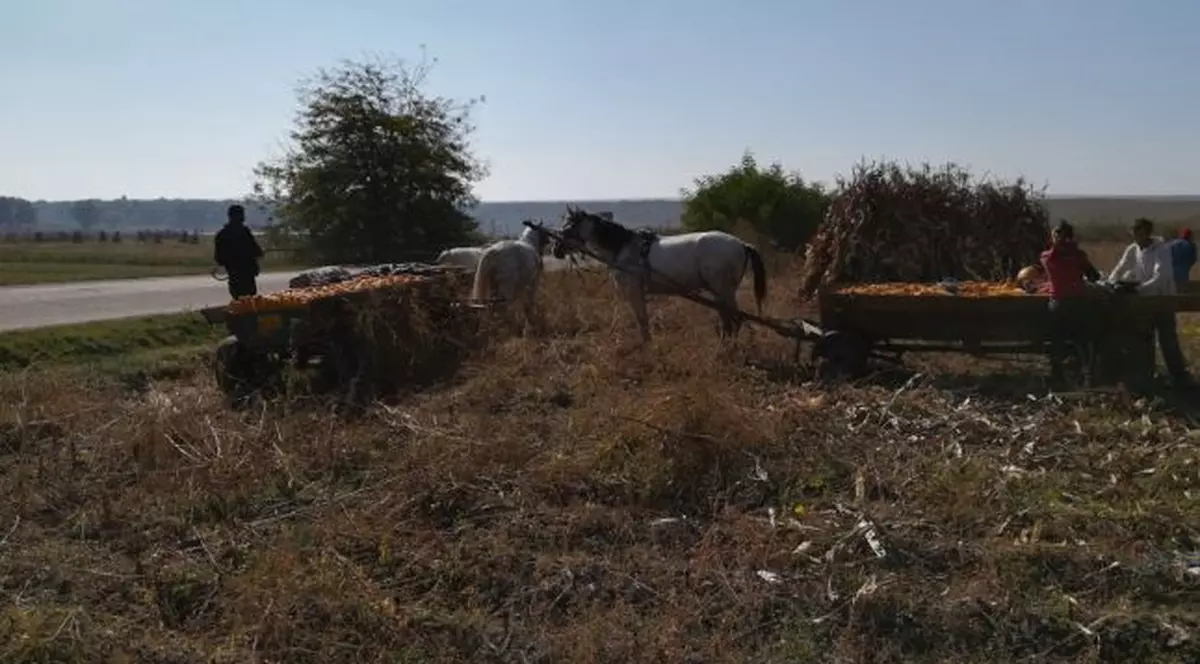 O comuna din Botoșani are un singur asistat social