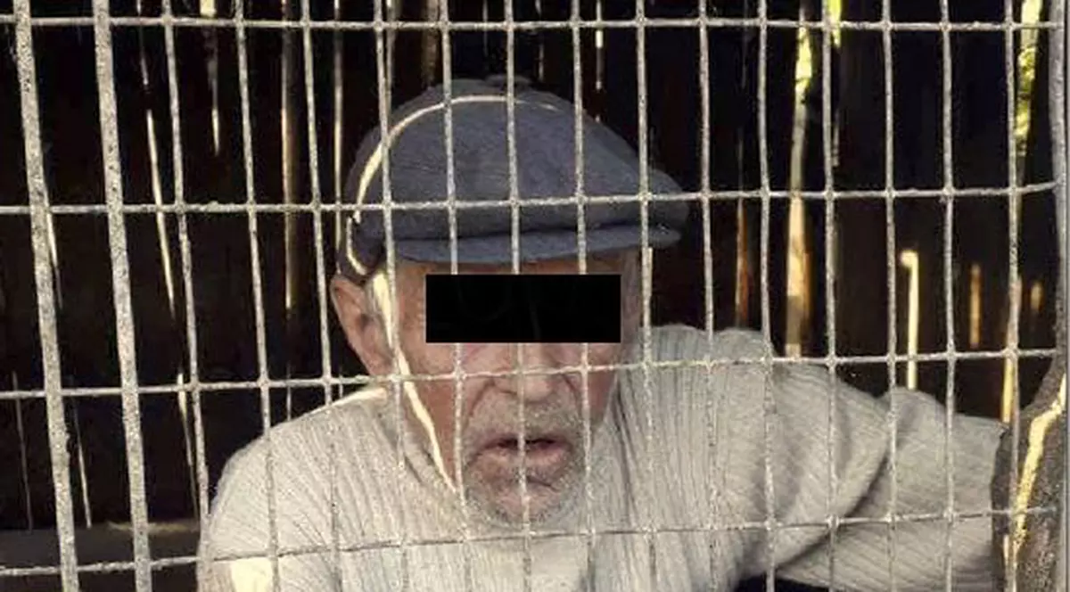 Un bătrân din Vaslui a fost prins în cotețul scroafei