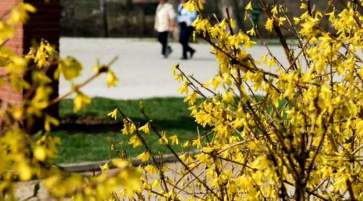 Cum va fi vremea luni, 22 aprilie. Vremea se va încălzi treptat