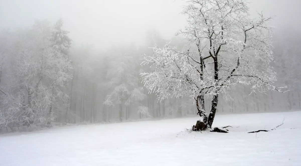 Alertă meteo: Cod galben de vânt şi ninsoare în cinci județe