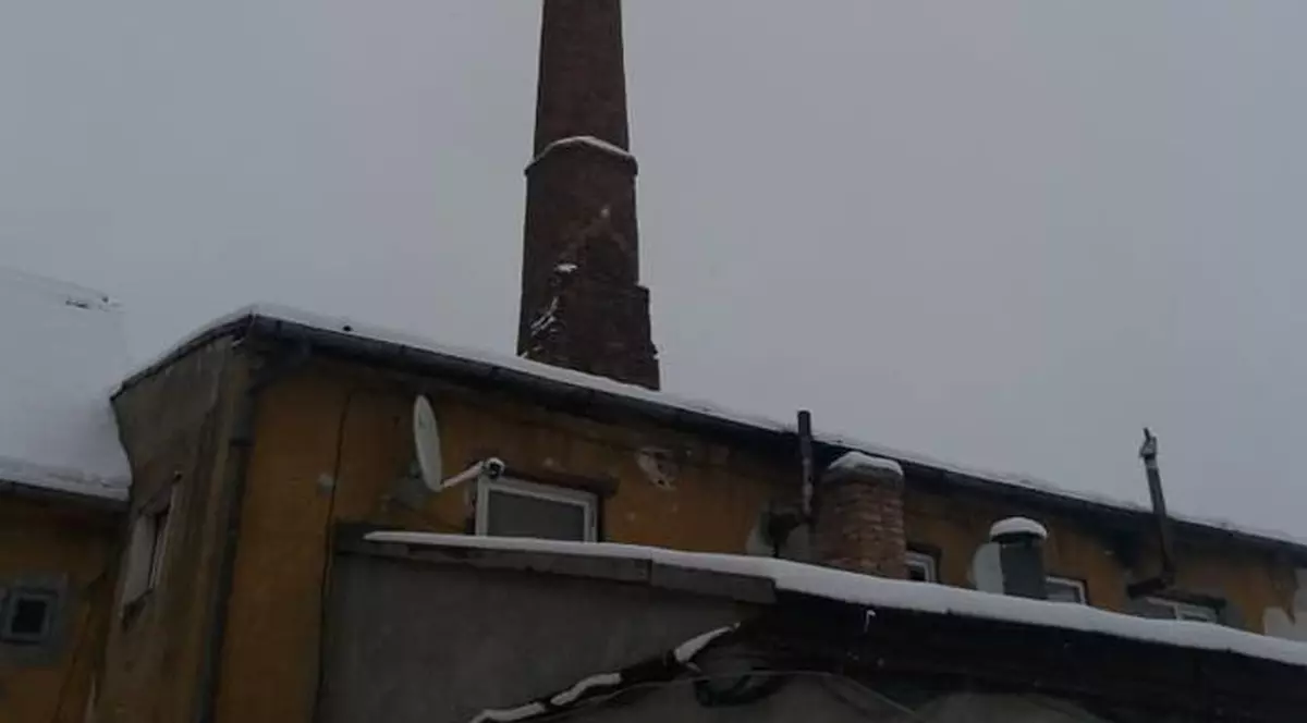 Barză prinsă de frig în Codlea