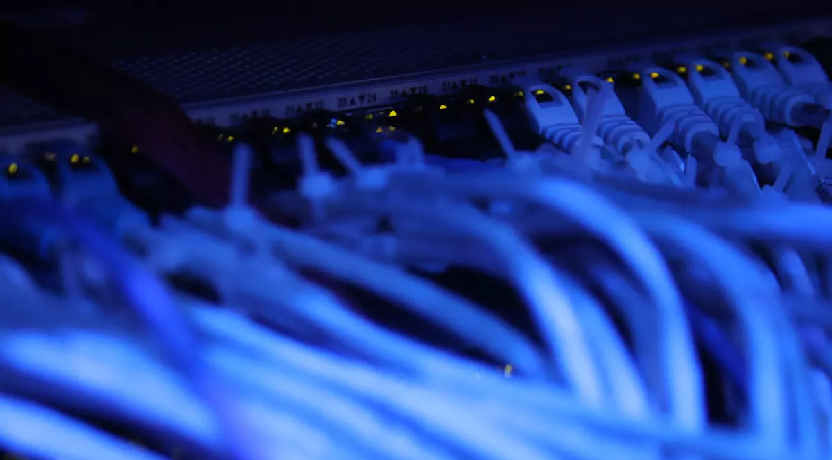 Furnizorii de internet raportează creșteri ale traficului de acasă. Românii lucrează de la distanță, stau pe rețele sociale și văd filme. Cabluri albastre de rețea conectate la un hub mare