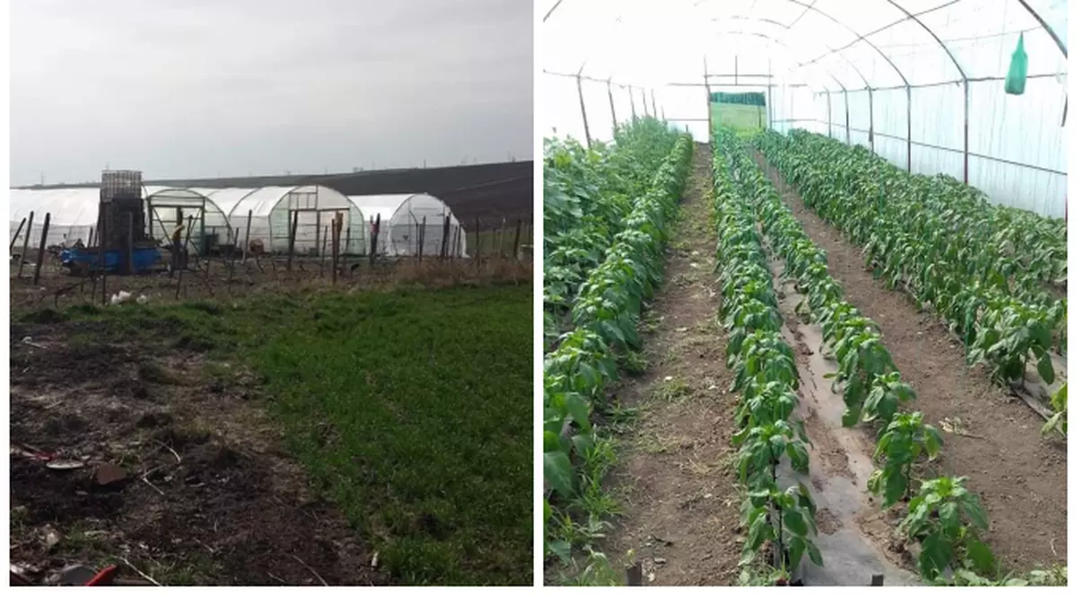 Un român a fost obligat de primar să-și strice solariile. Motivația e hilară