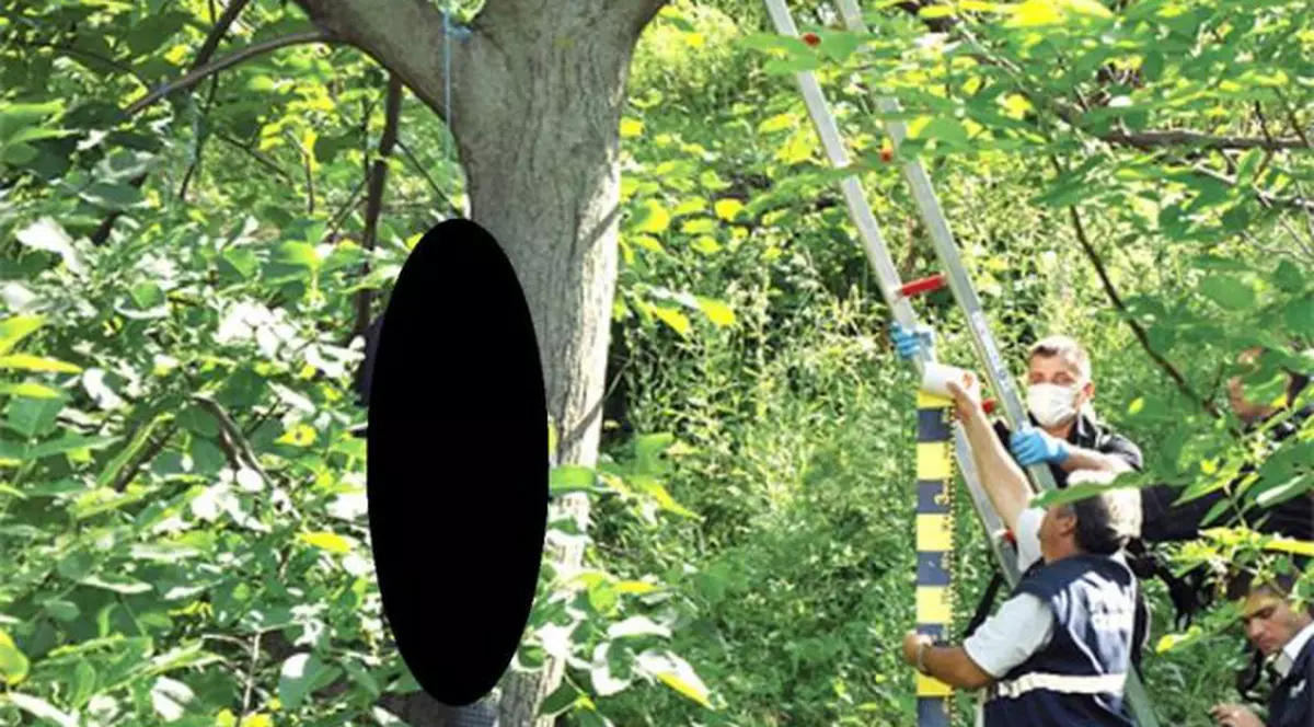 Scheletul unui bărbat spânzurat de mai bine de un an a fost descoperit într-o pădure