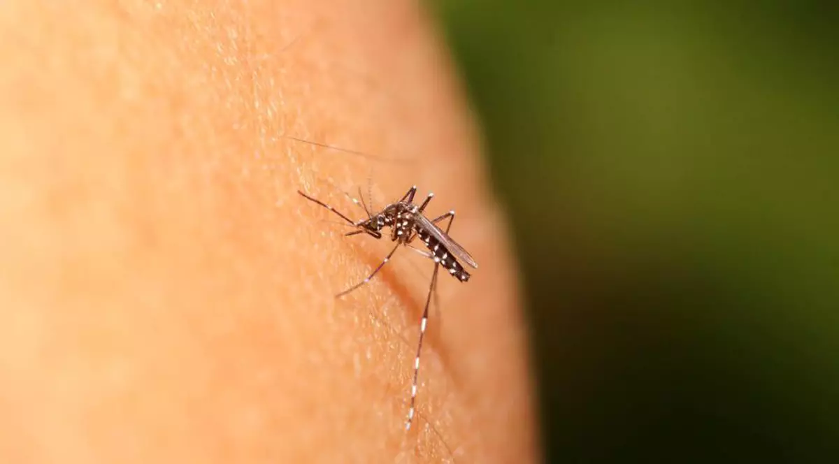 O bacterie care atacă oamenii și se hrănește cu carnea lor devine din ce în ce mai feroce