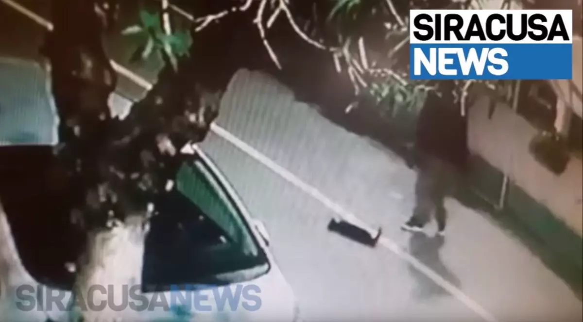 Un român din Italia a omorât în bătaie o pisică