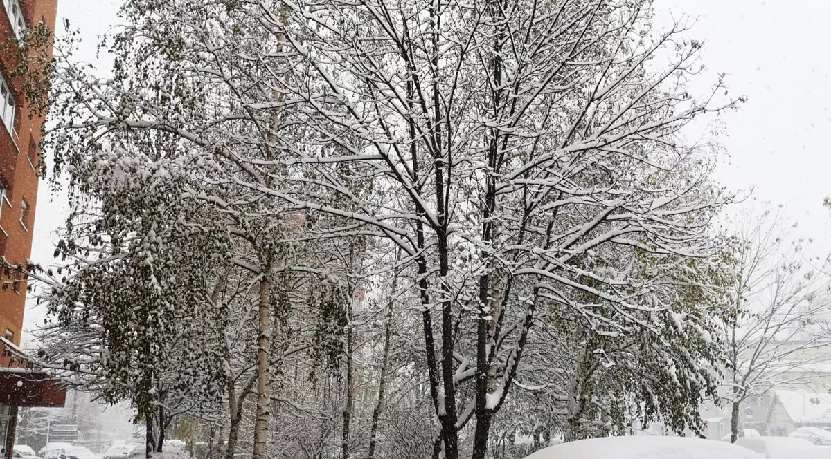 Prognoza meteo pentru perioada 19 noiembrie-2 decembrie. Zăpadă pe mașini și în pomi
