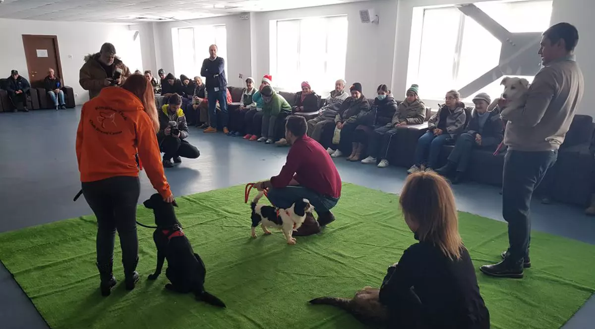 Un strop de bucurie pentru oamenii străzii. Patru căței i-au făcut pentru câteva clipe să zâmbească