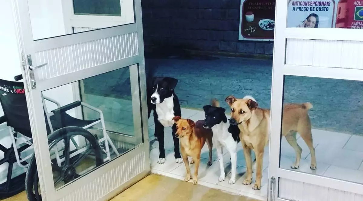 Scene extrem de emoționante într-un spital. Ce s-a întâmplat după ce un om al străzii a fost internat