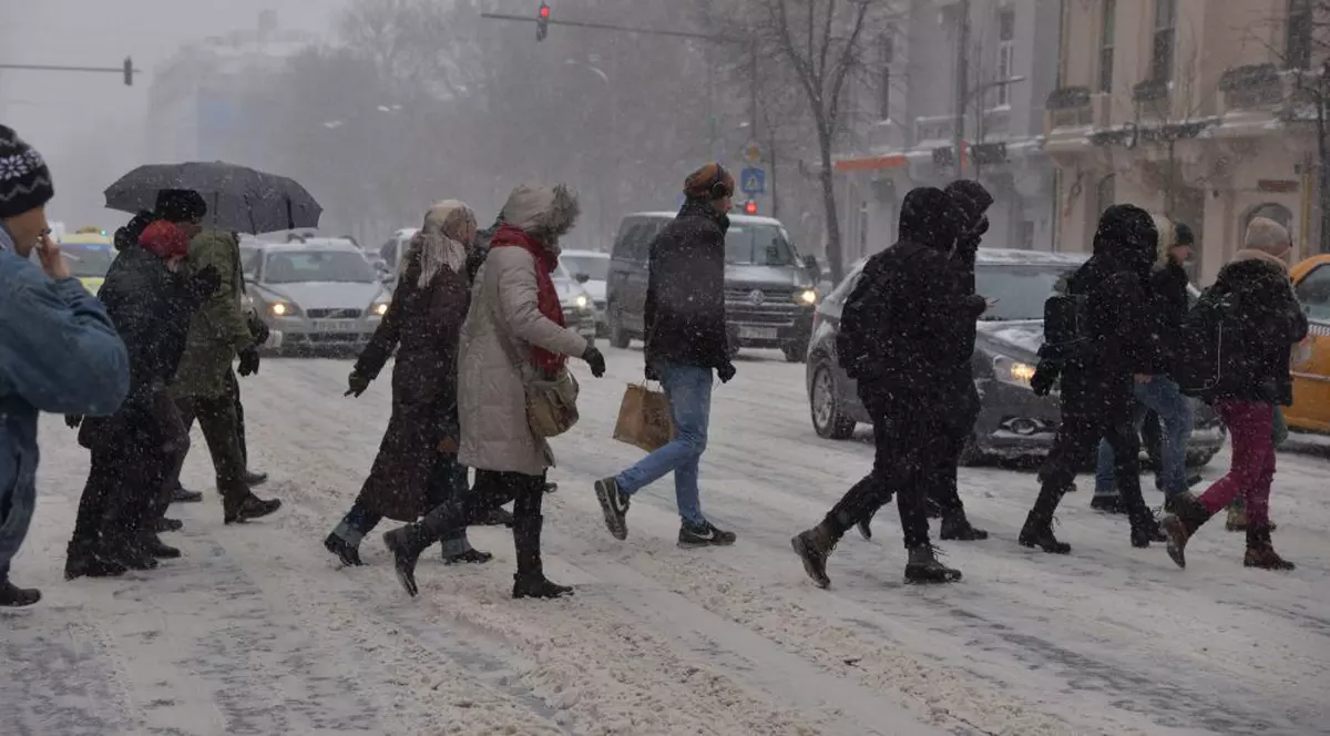 Ninsori, lapoviţă şi polei, în intervalul 9-11 ianuarie. O ambulanță și alte mașini îți fac loc prin viscol. Pompieri care înlătură crengile unui copac, plin de zăpadă, căzut pete o mașină