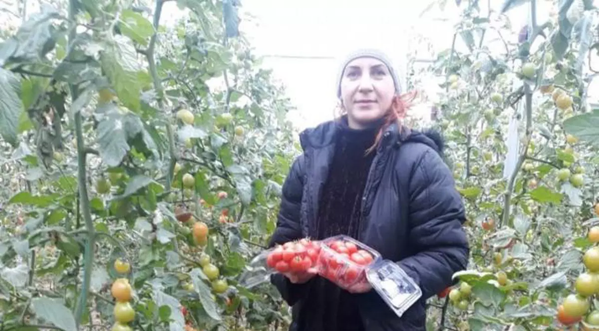 O tânără psiholog din Craiova a dat lovitura cu o afacere cu roșii cherry