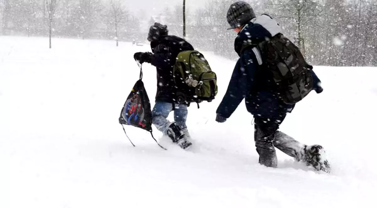 Școlile din Timiș și Caraș-Severin vor fi închise luni și marți! Situație gravă în județ: zeci de unități de învățământ au rămas fără curent și căldură, din cauza viscolului!