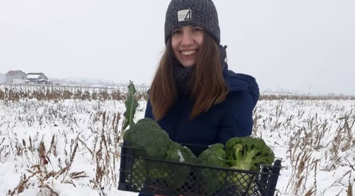 Studenta din Dolj care strânge recolta de broccoli din zăpadă