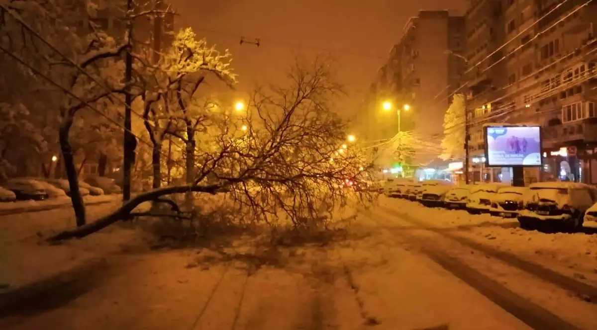 Județul Timiș, a doua zi sub cod portocaliu: peste 40.000 de familii fără curent și peste 140 de situații de urgență