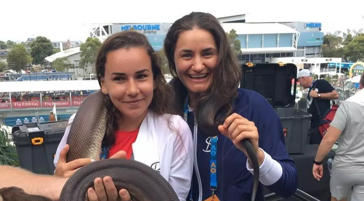 Monica Niculescu, Irina Bara şi Mihaela Buzărnescu s-au jucat cu un șarpe uriaș la Melbourne
