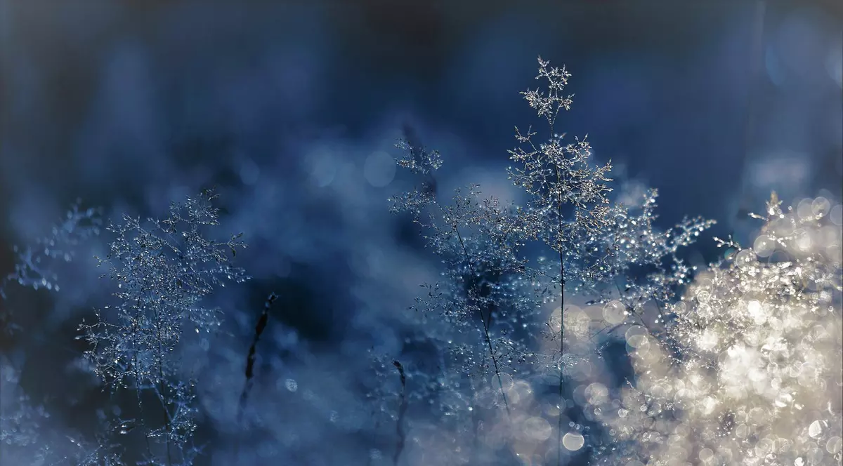 Aer polar peste România, vor fi și -14 grade. Zonele vizate de ger și ninsoare