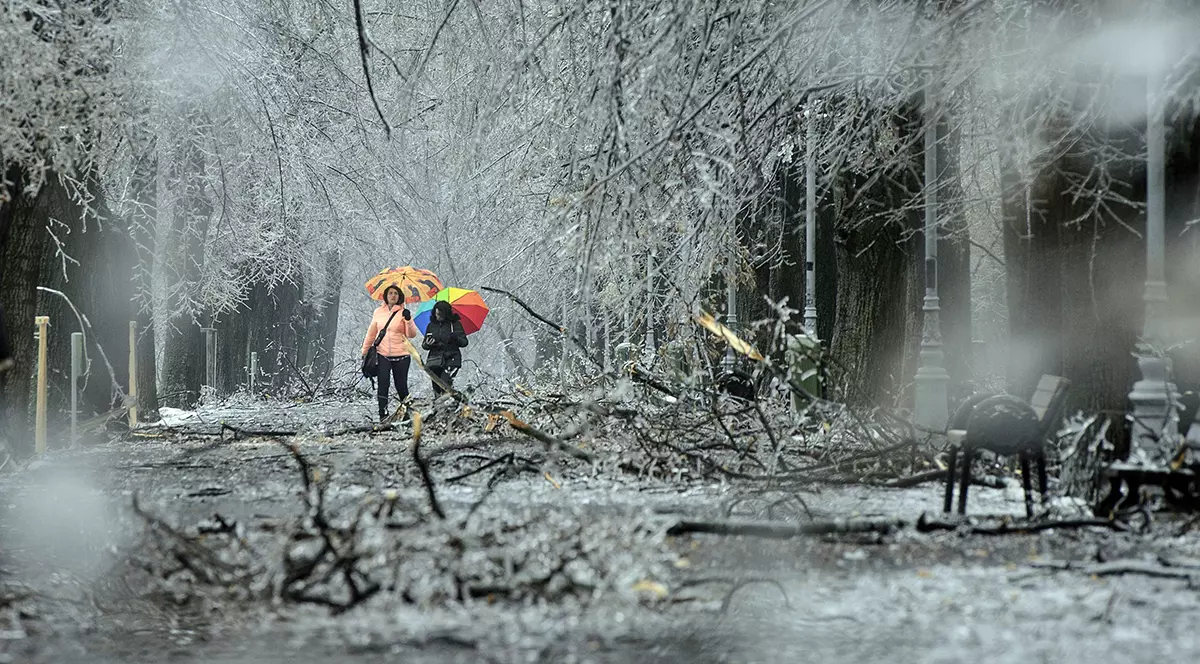 Vremea se încălzește brusc. Temperaturile vor ajunge chiar și la 14 grade