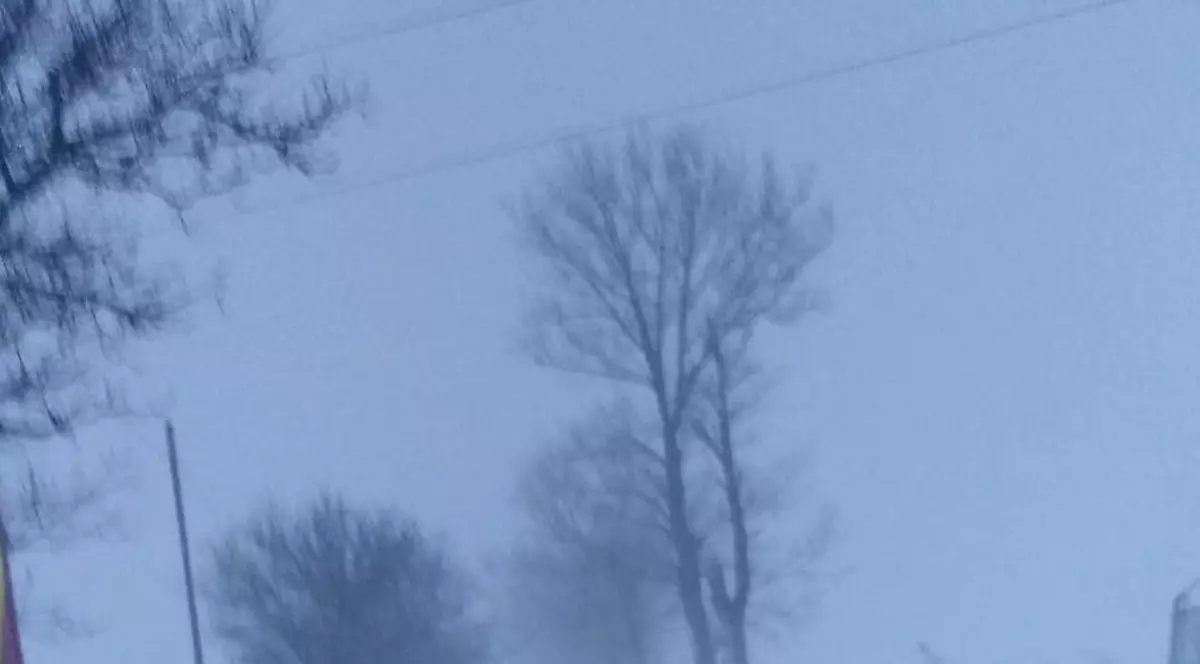 Iași, paralizat de zăpadă. La patru cazuri urgente din județ s-a intervenit cu șenilata. În municipiu, asociațiile de proprietari primesc gratuit lopeți