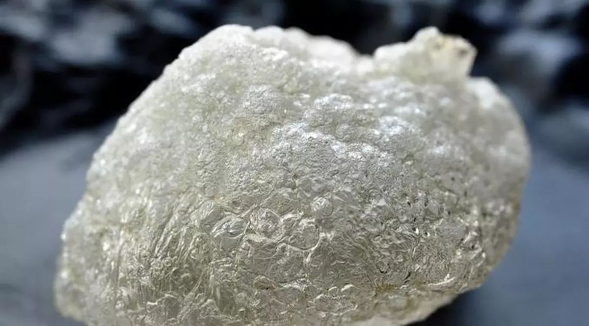 Aerul prăjit, delicatesa dintr-un restaurant italian. O porție de "aer prăjit", servită într-un restaurant din Italia