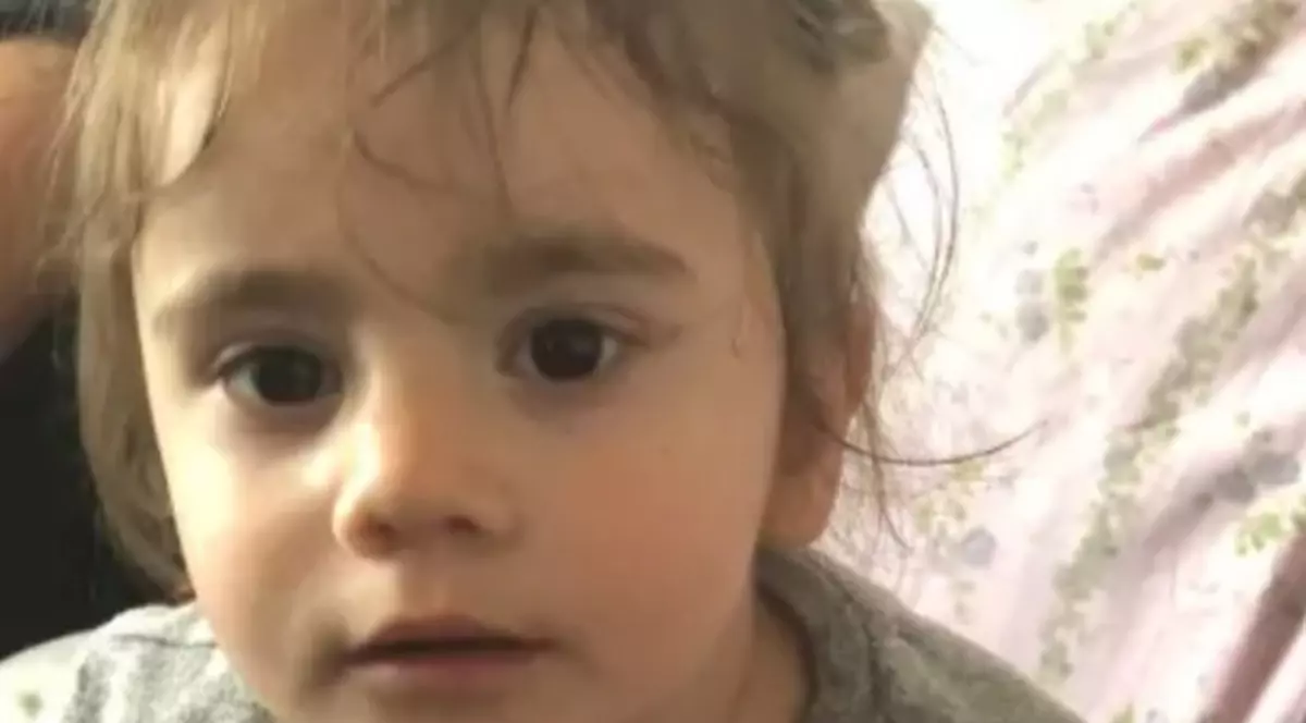 O fetiță româncă a fost răpită la Londra. Maria Tudorică, fetița răpită la Londra