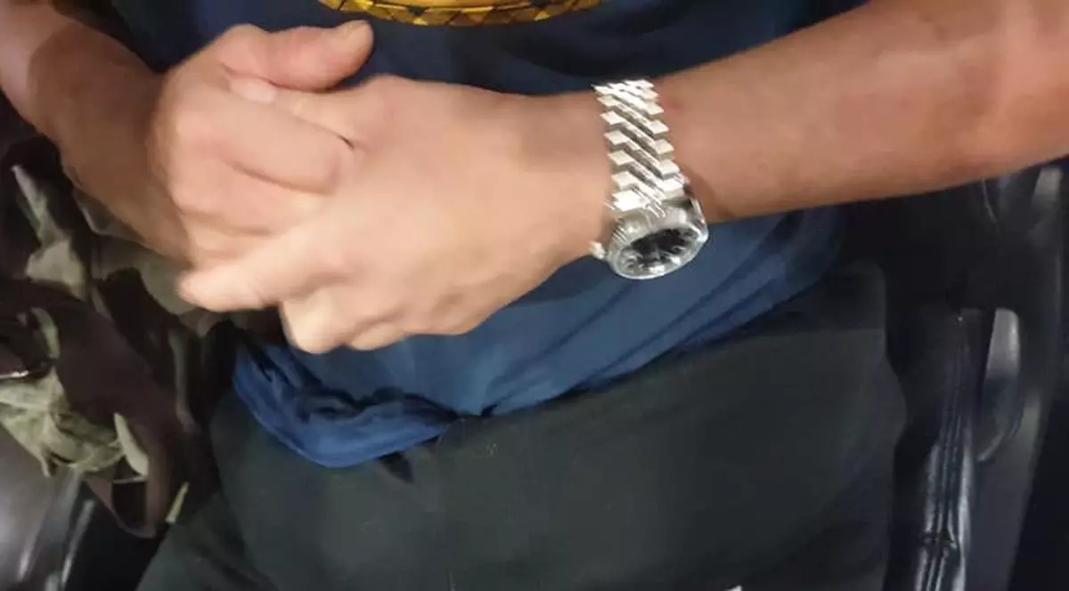 Un bărbat a fost prins la aeroport cu patru pisoi ascunşi în pantaloni