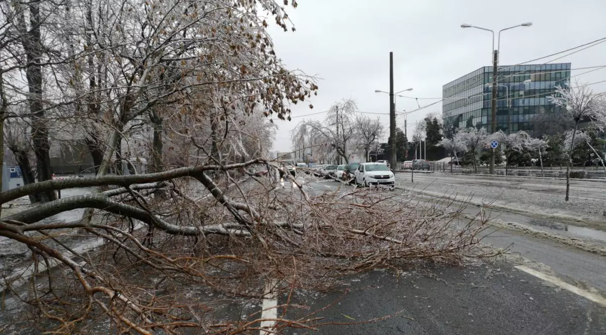 FOTO | Vremea face ravagii: Zeci de copaci doborâţi de vânt și gheață în Bucureşti și 49 de maşini avariate, în ultimele ore. Circulaţia pe anumite linii a tramvaielor şi a troleibuzelor, blocată