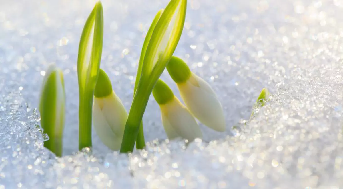 Cum va fi vremea în weekendul 16-17 februarie