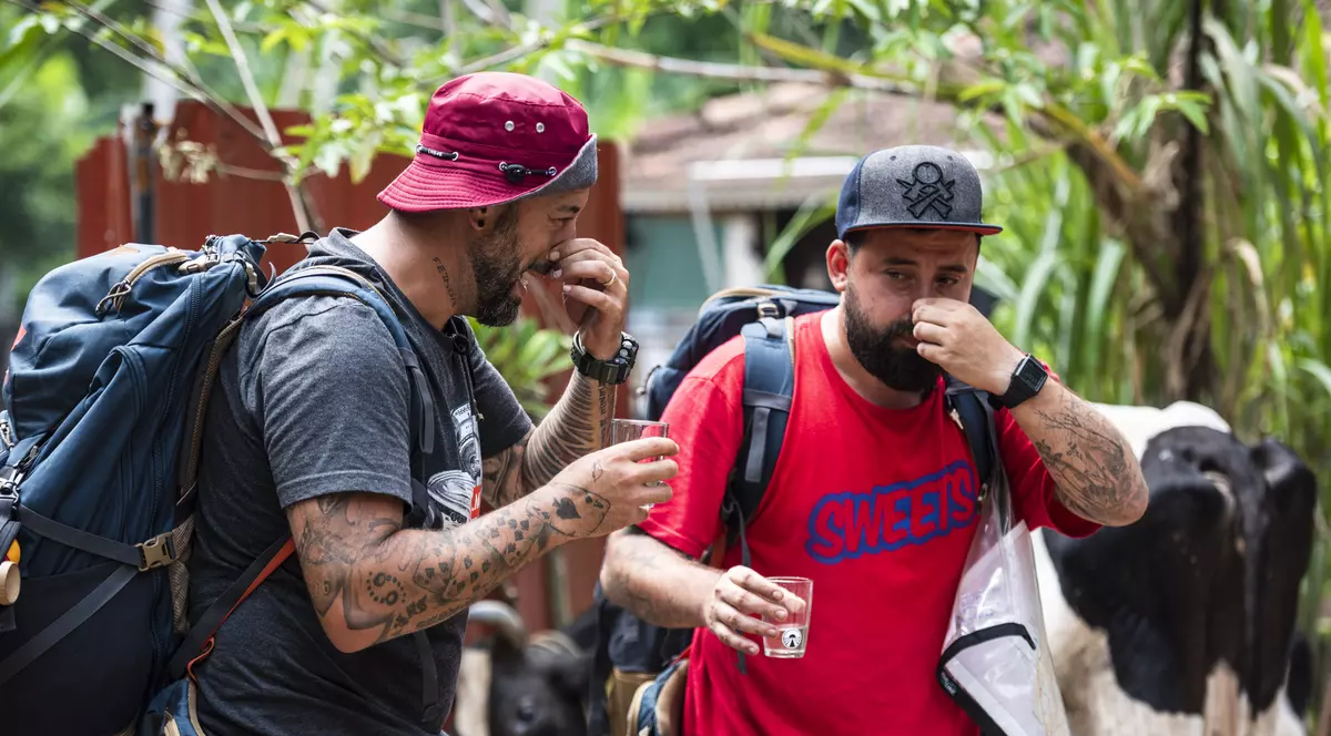 CRBL și Oase au trebuit să bea urină de vacă în India