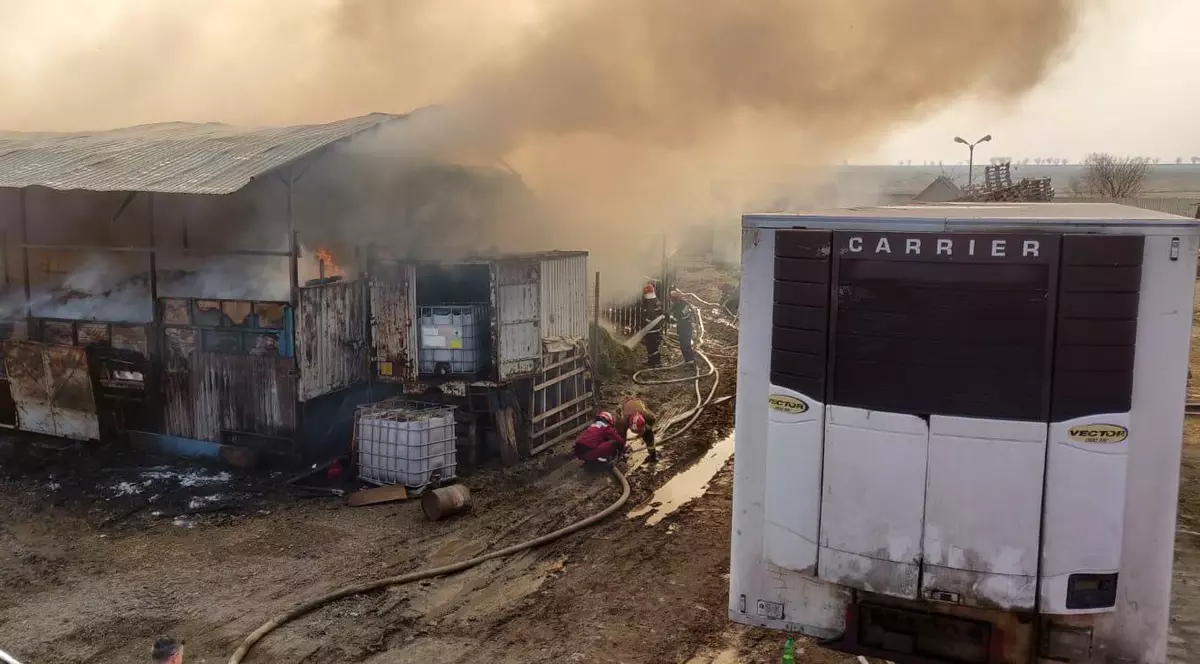 Incendiu la o fermă din Mizil. Câte animale au ars de vii