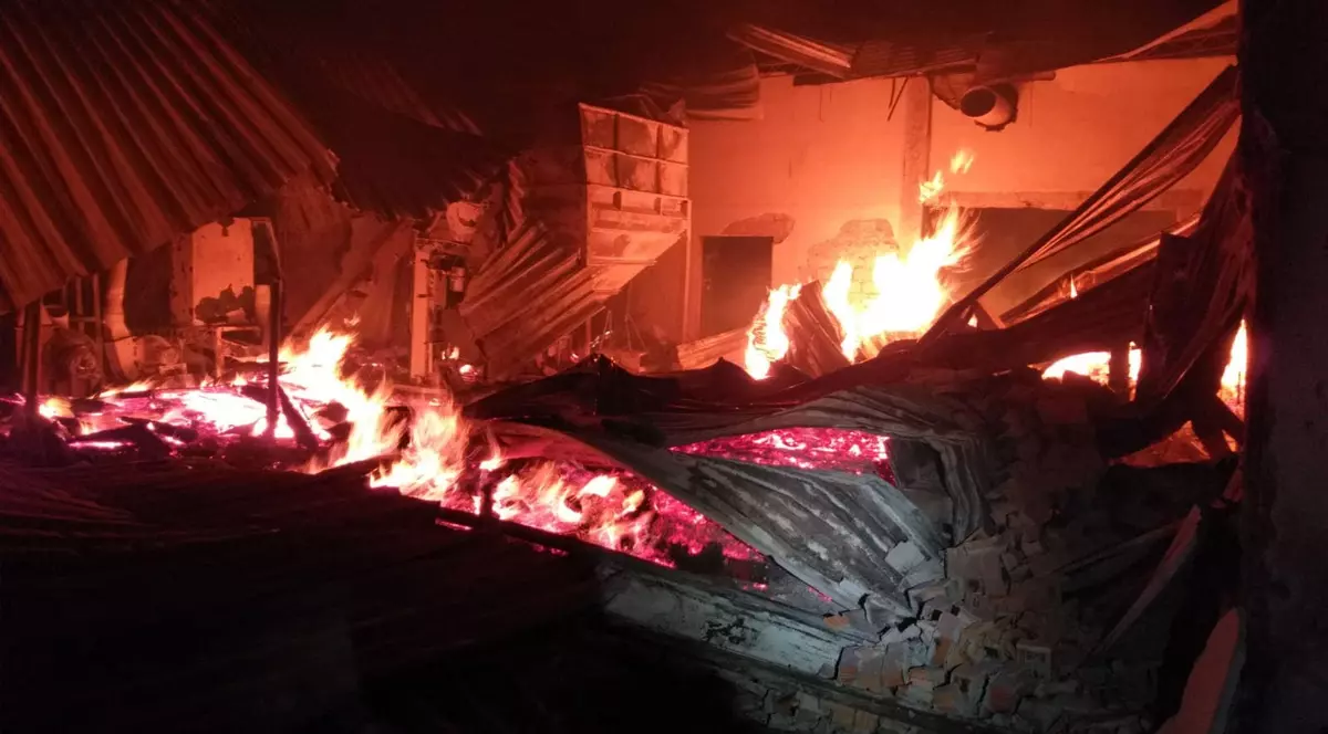 Incendiu la o hală de lemn din Timiș