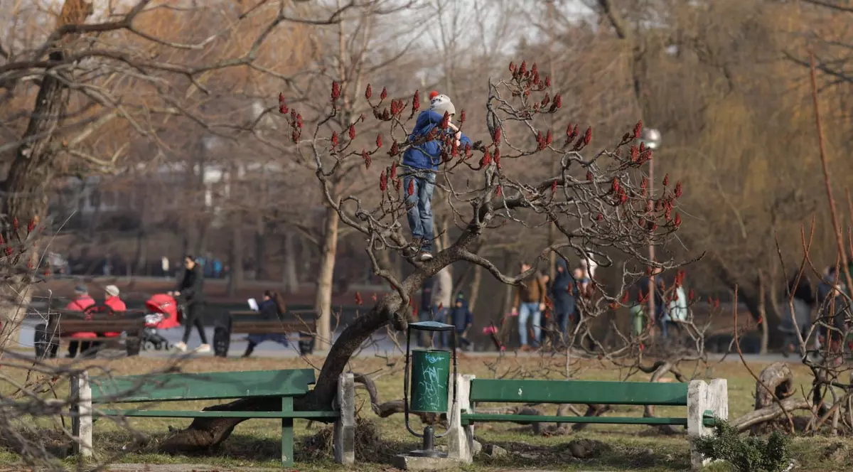 Temperaturi neobișnuite. Cea mai călduroasă zi de 3 februarie din ultimii 60 de ani