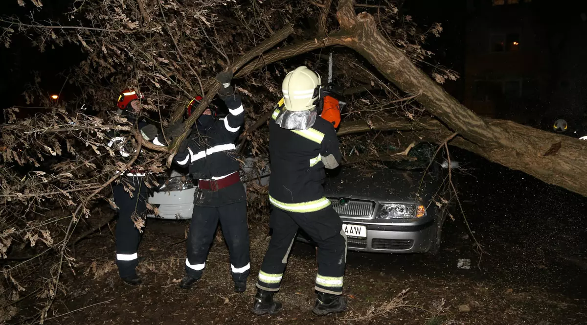 Intervenții ale pompierilor după viscolul din București de vineri după-amiază. Copaci căzuți, fire rupte și table smulse