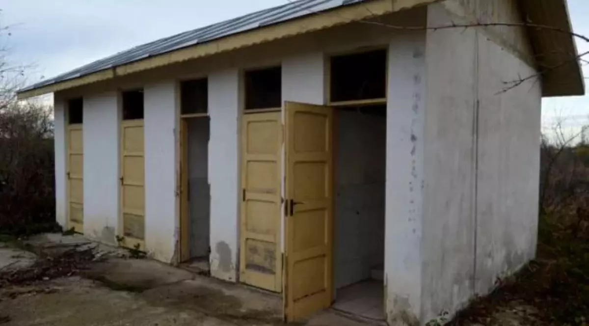 Ecaterina Andronescu, despre școlile cu toaletă în curte