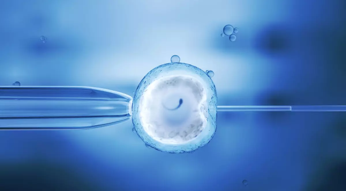 Descoperire șocantă pe aeroportul din Mumbai. Un bărbat avea în bagaj un embrion uman