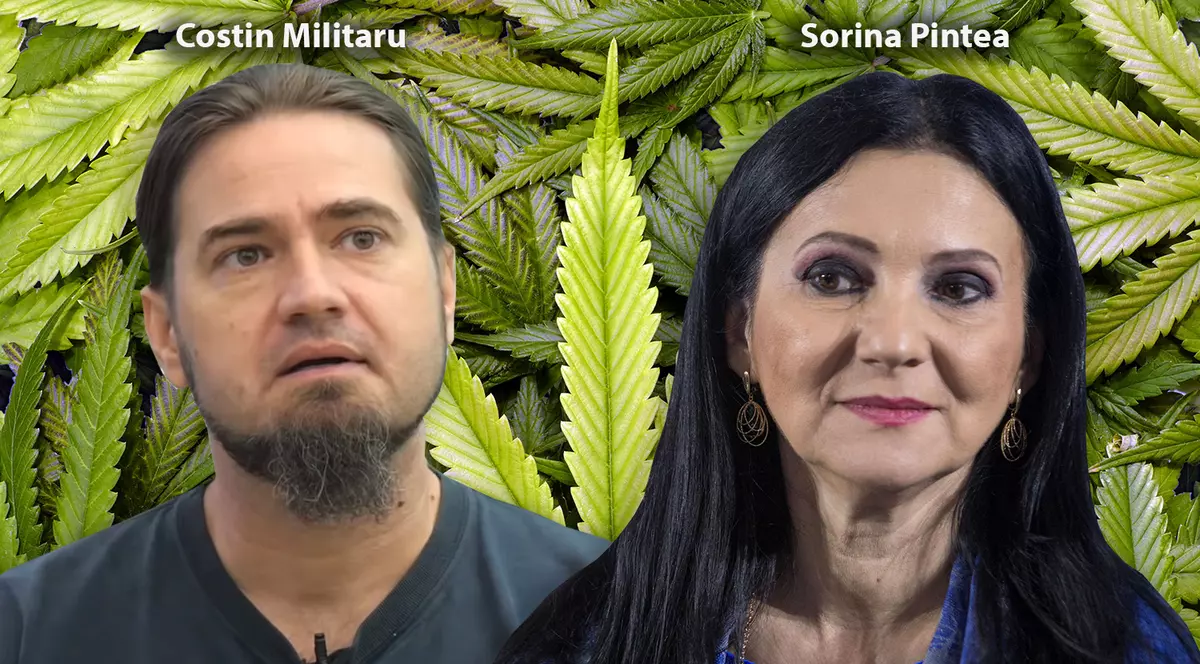 EXCLUSIV/ De ce se grăbește Guvernul Dăncilă să legalizeze canabisul medicinal? Participanții secreți de la discuții