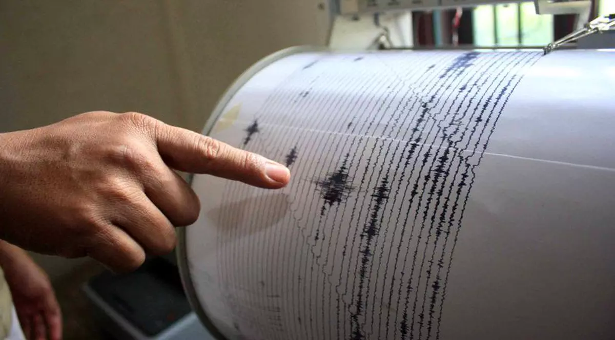 Un cutremur de 3,6 grade pe scara Richter a avut loc în această dimineață în Vrancea