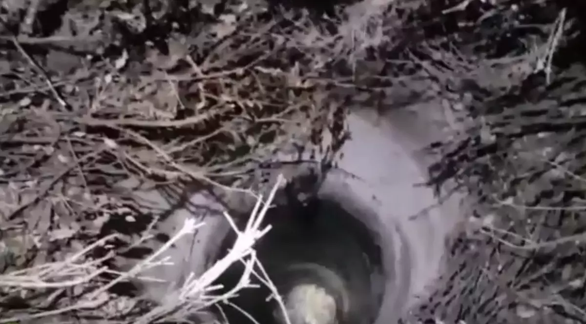 O adolescentă care a căzut într-o fântână din Caracal a fost salvată de pompieri