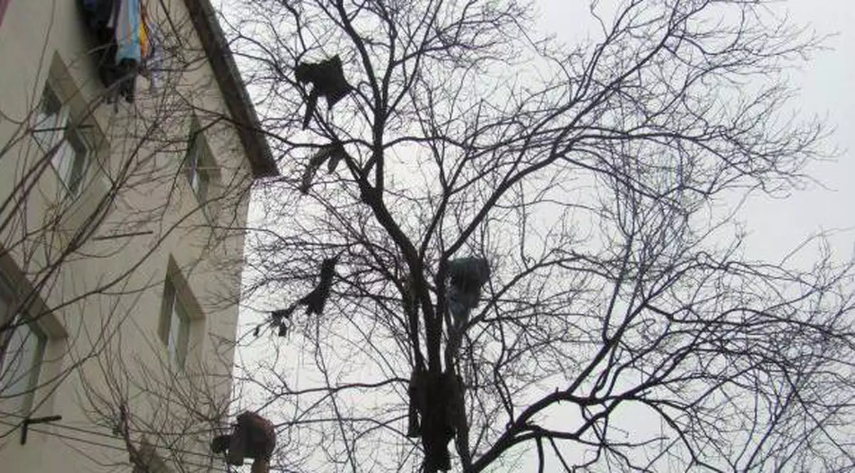 Un bărbat i-a aruncat hainele soției pe geam după o ceartă conjugală. Aceasta a chemat pompierii să-i adune rufele din pom