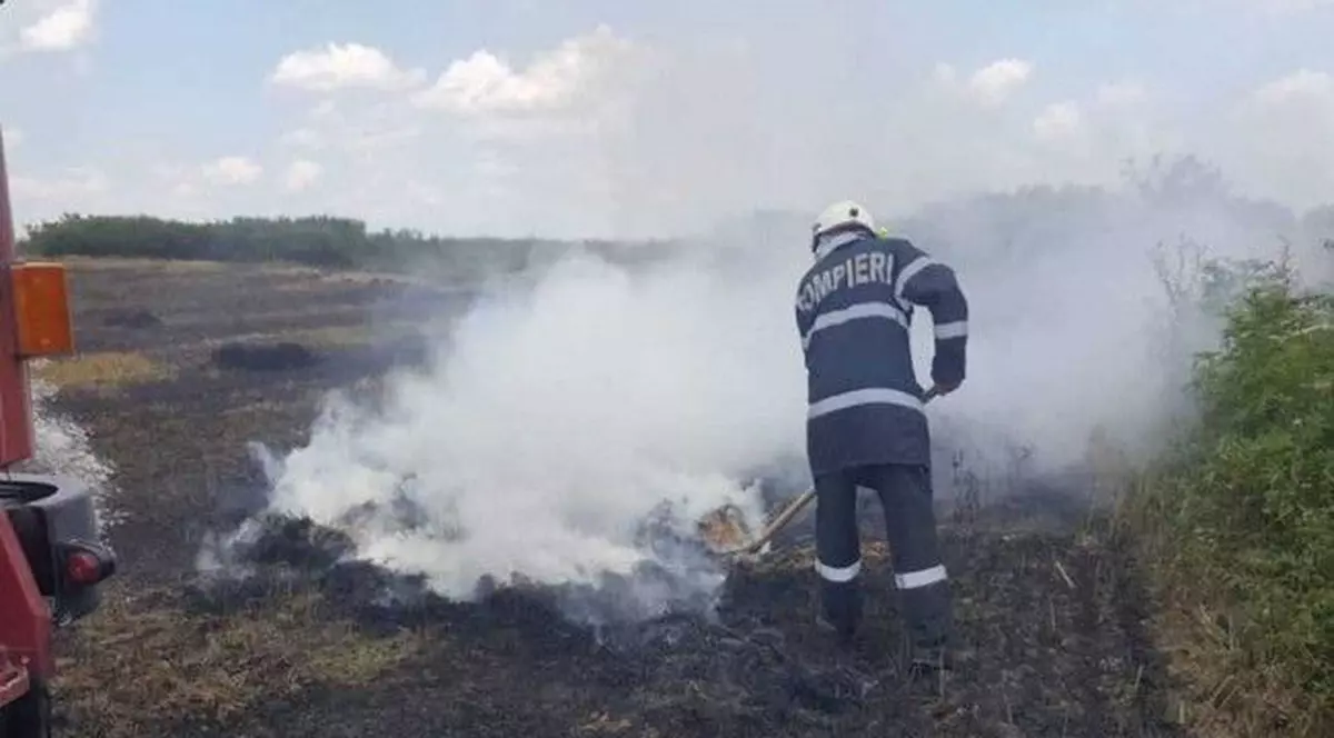 Incendii pe 150 de hectare în Hunedoara