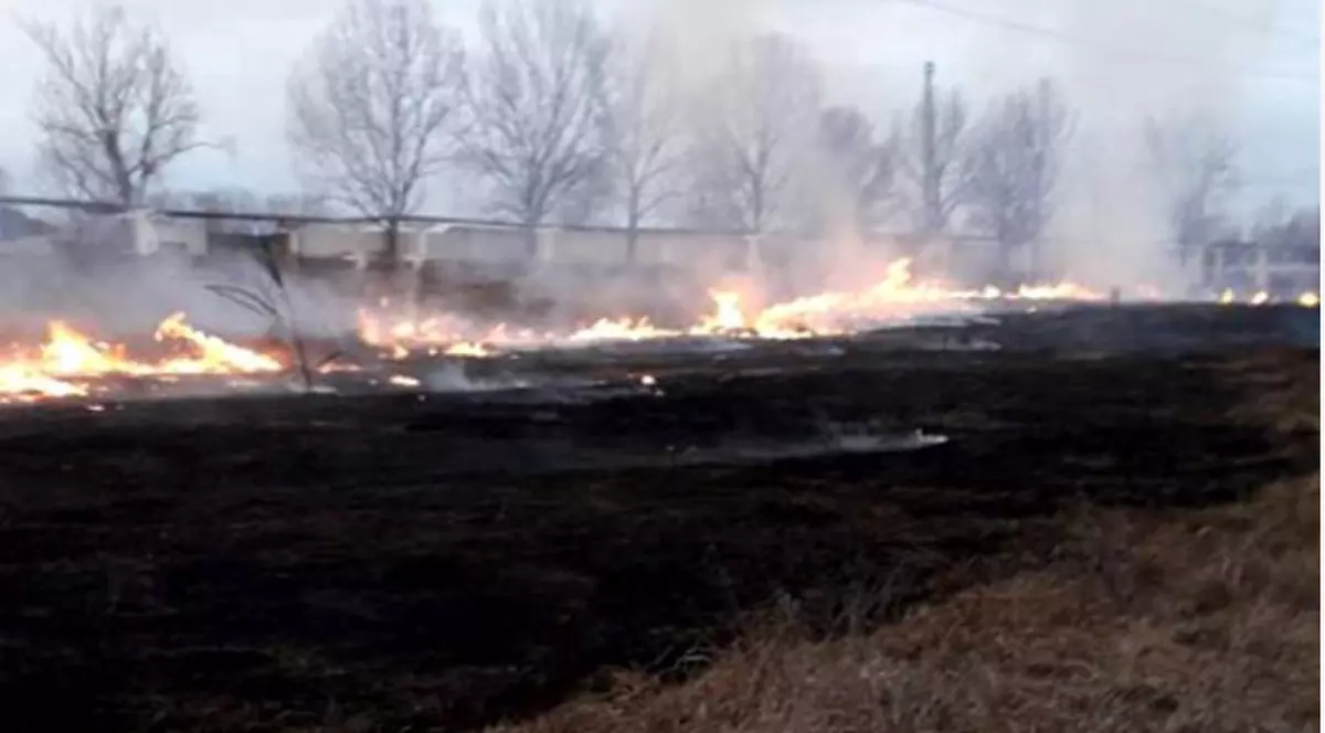 Incendiu de stuf în Tulcea