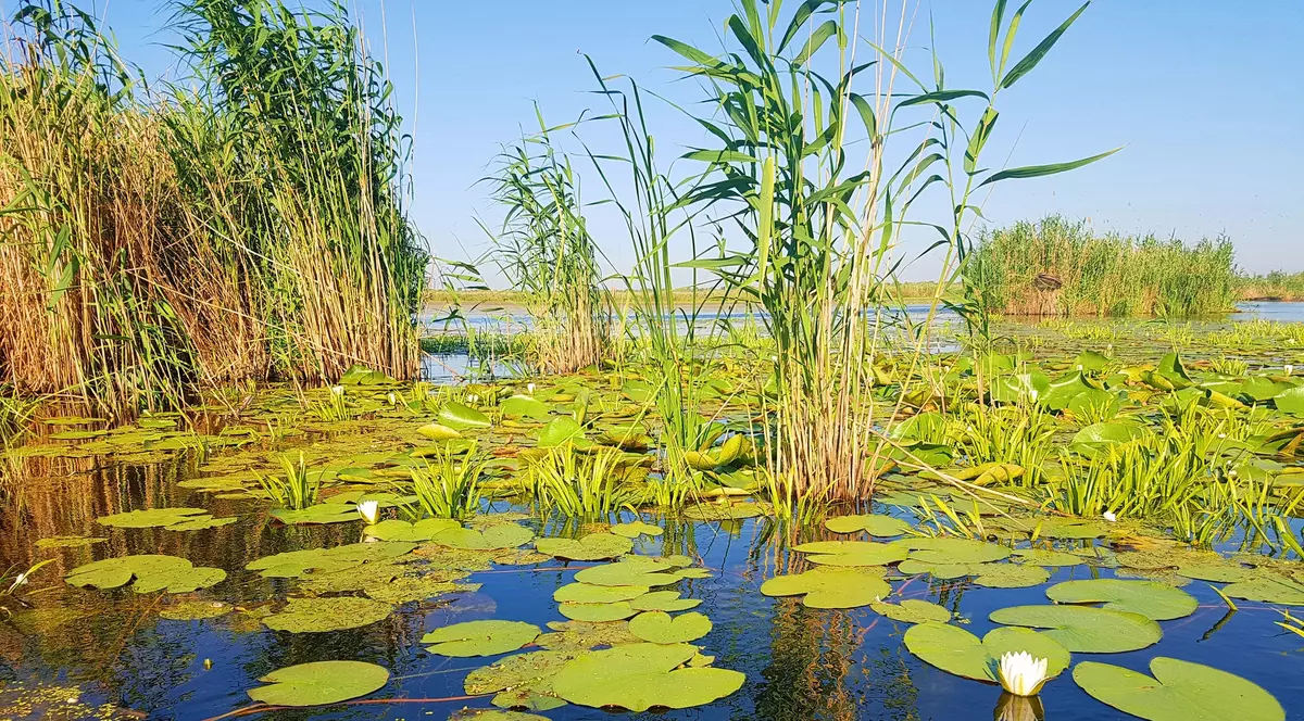 Vacanță de primăvară în Delta Dunării, colțul de paradis al României (PUBLICITATE)