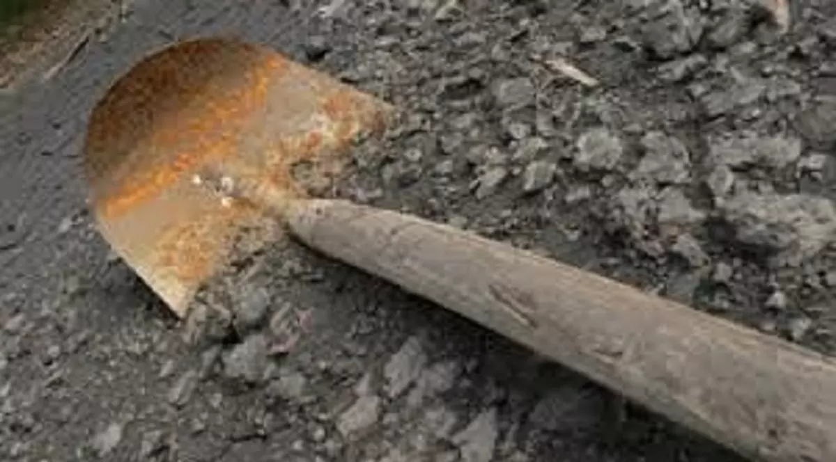 Un bărbat a fost bătut cu lopata de fiul concubinei sale! Totul a pornit de la o pereche de cercei