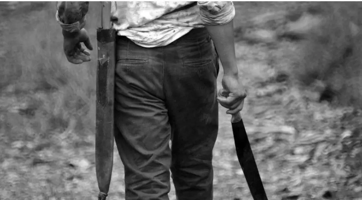 Vietnamez lovit cu maceta