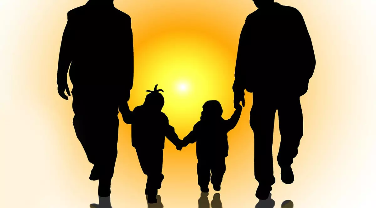 Două proiecte de lege ale parteneriatului civil au fost respinse luni, de Senat. Parteneriatul civil includea și persoanele de același sex care ar fi putut încheia