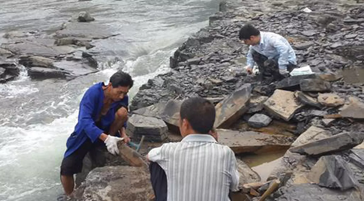 FOTO | Descoperire uluitoare în China: fosile cu o vechime de 518 milioane de ani pe malul unui râu!