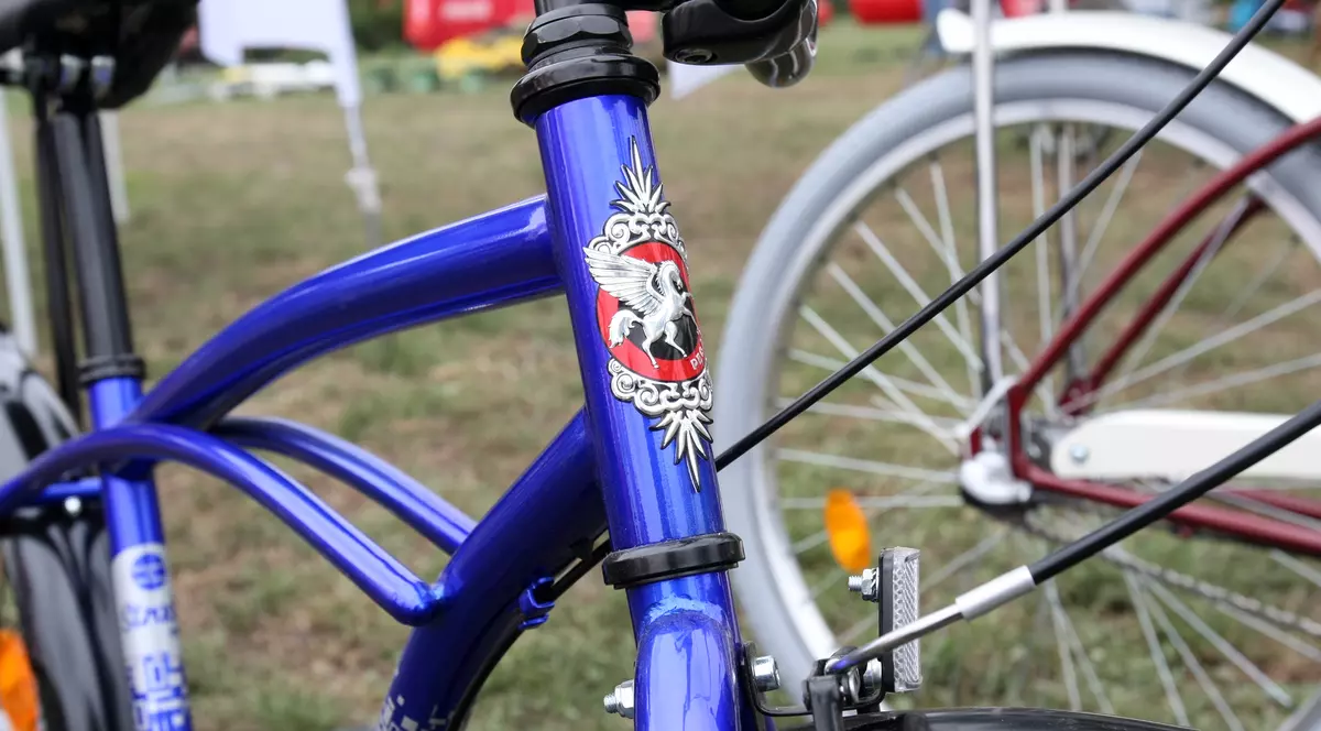 Beneficiarii de vouchere pentru biciclete, obligați să depună Declarația Unică. Biciclete în parc